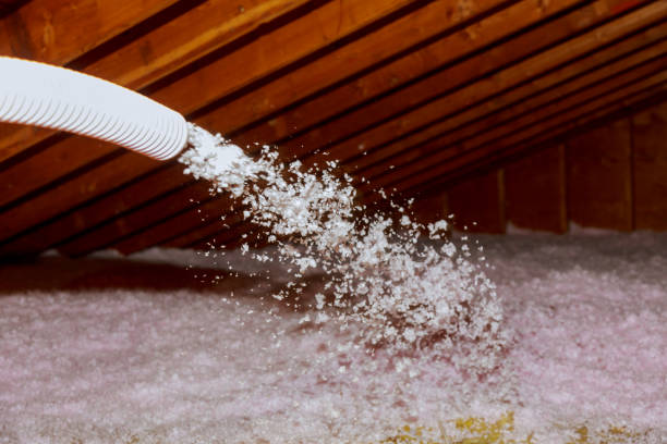 Professional Insulation Contractor in Ravenswood, WV