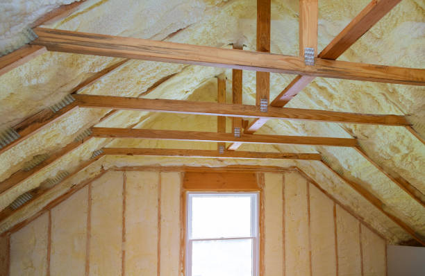 Best Cellulose Insulation in Ravenswood, WV
