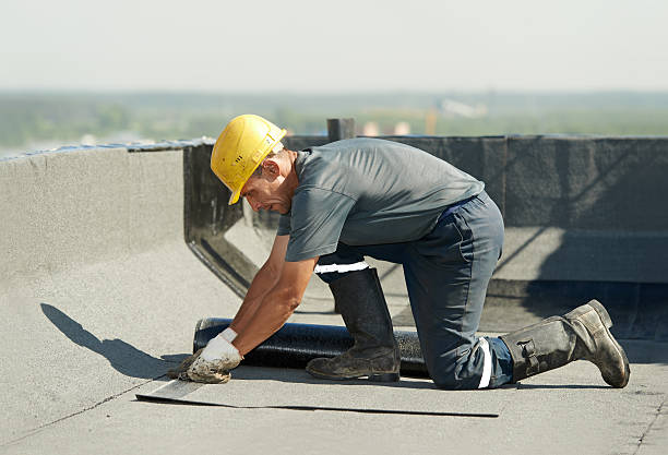 Best Specialized Insulation Services in Ravenswood, WV