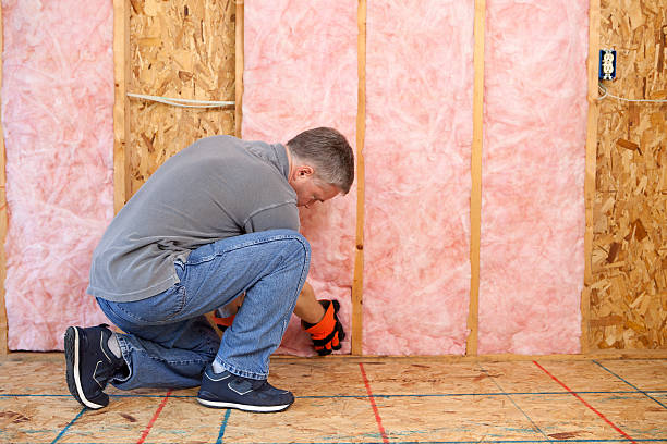 Best Commercial Insulation in Ravenswood, WV